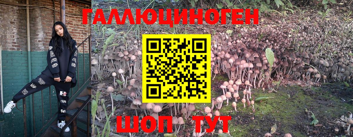 Псилоцибиновые грибы Cubensis Улан-Удэ