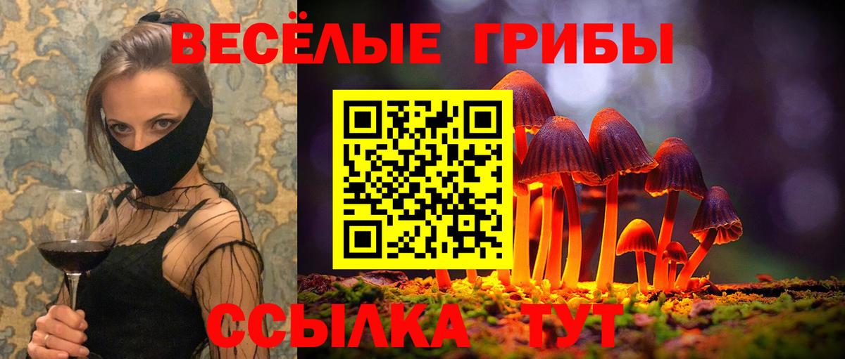 Псилоцибиновые грибы мицелий  купить  сайты  Псилоцибиновые грибы Cubensis  Улан-Удэ  Вход с VPN 